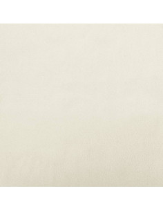 Set di Divani 2 pz con Cuscini Crema in Velluto