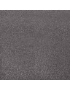 Set di Divani 2 pz con Cuscini Grigio in Similpelle