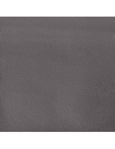 Set di Divani 2 pz con Cuscini Grigio in Similpelle