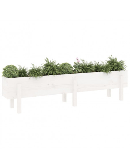 Fioriera Rialzata da Giardino Bianca 160x30x38 cm Massello Pino