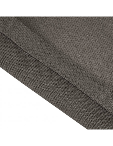 Tappeto da Tenda 250x550 cm Antracite