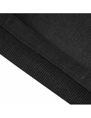 Tappeto da Tenda 250x550 cm Nero