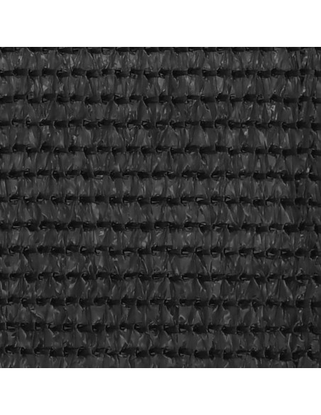 Tappeto da Tenda 200x400 cm Antracite