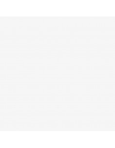 Set di Mobili da Cucina 2 pz Bianco in Truciolato