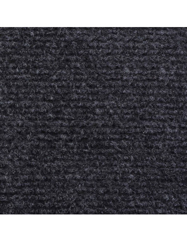 Tappeto a Coste per Eventi 1,2x10 m Antracite