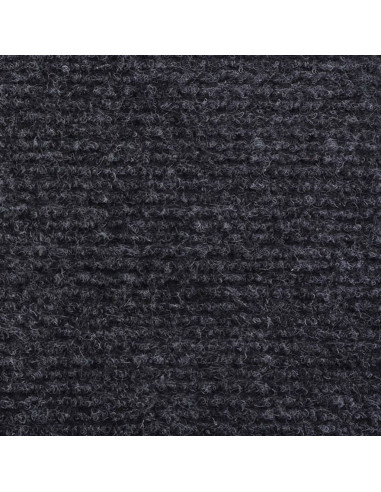 Tappeto a Coste per Eventi 1,2x20 m Antracite