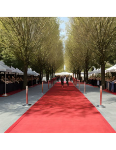 Tappeto Piatto da Esposizione 1x12 m Rosso 2