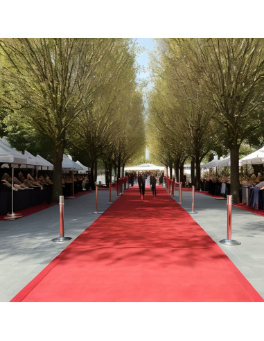 Tappeto Piatto da Esposizione 1x12 m Rosso