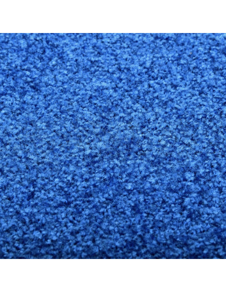 Zerbino Lavabile Blu 60x90 cm