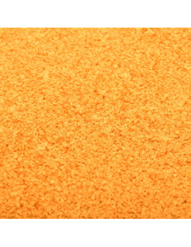 Zerbino Lavabile Arancione 90x150 cm