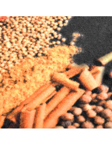 Tappetino da Cucina Lavabile Spezie 45x150 cm