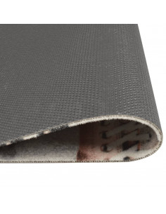 Tappeto da Cucina Lavabile Zona Scarpe 60x180 cm Velluto 2