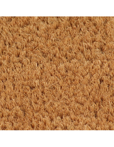 Zerbino Naturale 65x100 cm Fibra di Cocco