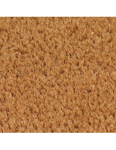 Zerbino Naturale 50x80 cm in Fibra di Cocco 2