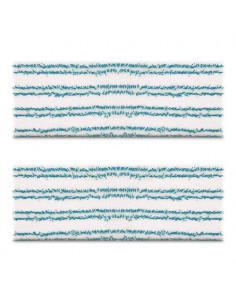 Set panni lava pavimento Polti PAEU0340 VAPORETTO Vaporflexi