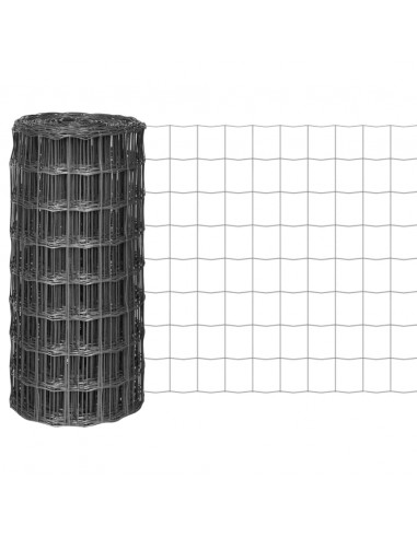 Recinzione Euro in Acciaio 25x0,8 m Grigia