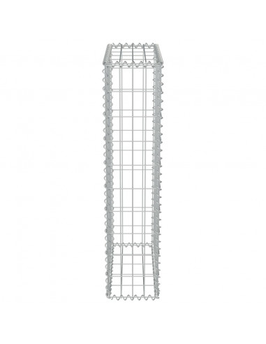 Gabbione con Copertura in Acciaio Zincato 50x20x100 cm