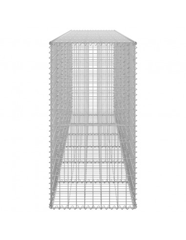 Gabbione con Copertura in Acciaio Zincato 300x50x100 cm