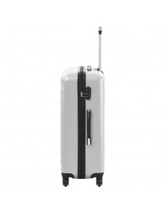 Set Trolley a Custodia Rigida 3 pz Argento Lucido in ABS