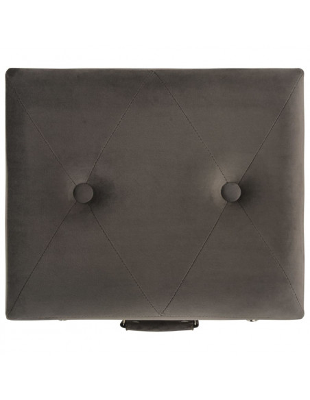 Sgabello con Contenitore 40 cm in Velluto Grigio