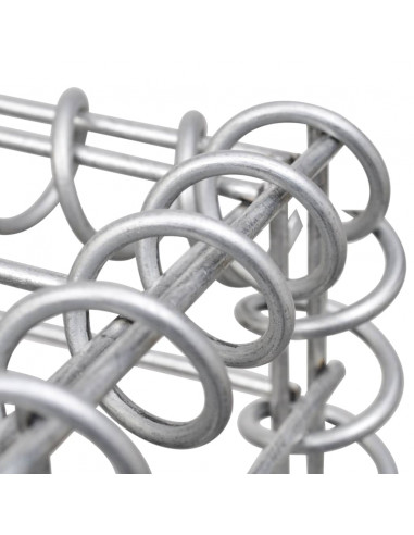 Gabbione con Copertura in Acciaio Zincato 300x30x100 cm