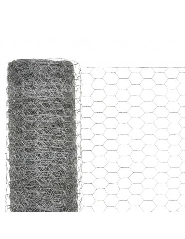 Recinzione in Rete per Pollaio Acciaio Zincato 25x1,2m Argento