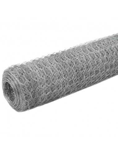 Recinzione in Rete per Pollaio Acciaio Zincato 25x1,2 m Argento