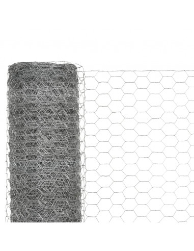 Recinzione in Rete per Pollaio Acciaio Zincato 25x1,2m Argento