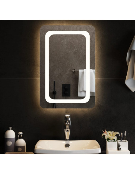 Specchio da Bagno con Luci LED 40x60 cm