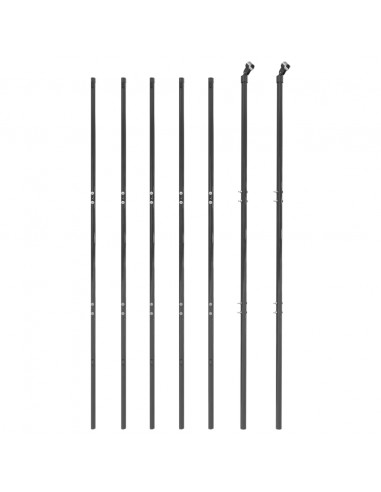 Recinzione Metallica Antracite 1,6x10 m in Acciaio Zincato