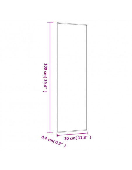 Specchio da Parete 30x100 cm Vetro Rettangolare