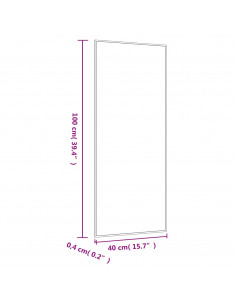 Specchio da Parete 40x100 cm Vetro Rettangolare