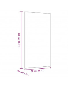 Specchio da Parete 50x100 cm Vetro Rettangolare