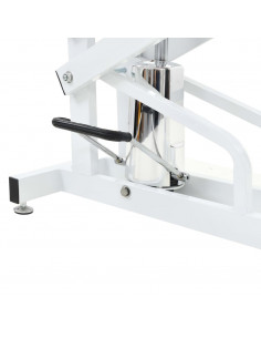 Tavolo di Toelettatura Idraulico per Cani Gatti Regolabile