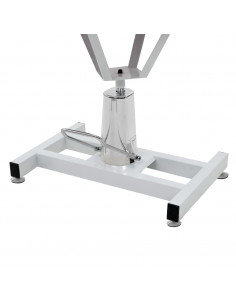 Tavolo di Toelettatura Idraulico per Cani Girevole Regolabile