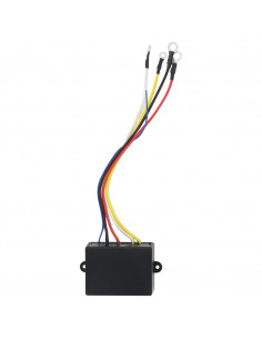 Telecomandi senza Fili per Argano 2 pz con Ricevitore