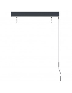 Tenda a Rullo per Esterni 100x250 cm Blu e Bianca