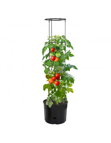 Vaso a Torre per Pomodori Antracite Ø39x150 cm Polipropilene