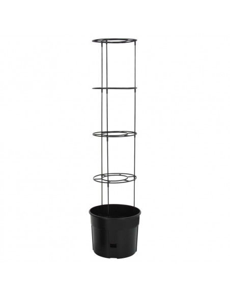 Vaso a Torre per Pomodori Antracite Ø39x150 cm Polipropilene