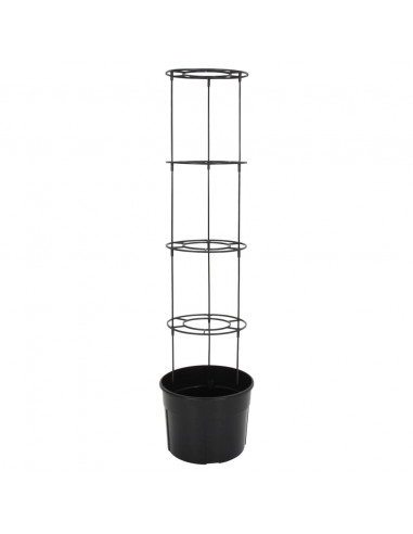 Vaso a Torre per Pomodori Antracite Ø39x150 cm Polipropilene