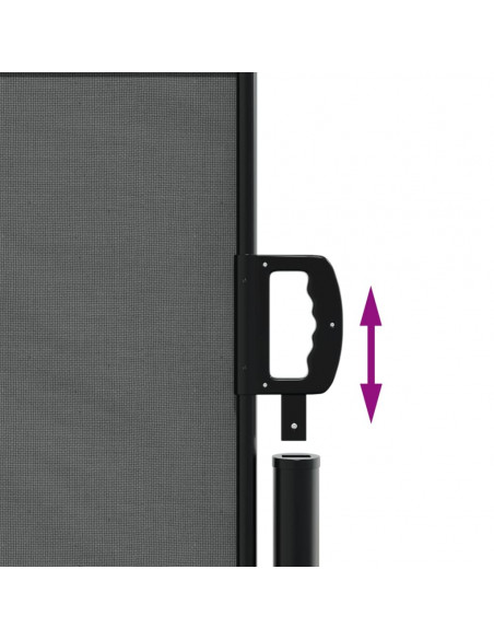 Tenda da Sole Laterale Retrattile Antracite 100x300 cm