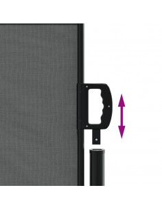 Tenda da Sole Laterale Retrattile Antracite 100x500 cm