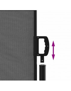 Tenda da Sole Laterale Retrattile Antracite 120x300 cm