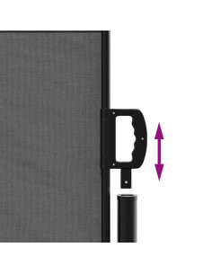 Tenda da Sole Laterale Retrattile Antracite 140x600 cm