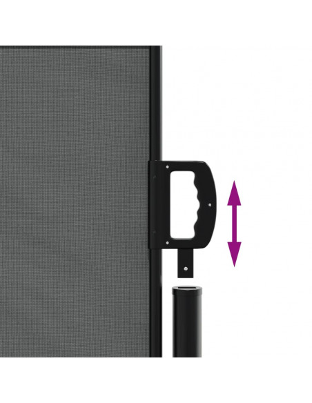 Tenda da Sole Laterale Retrattile Antracite 140x600 cm