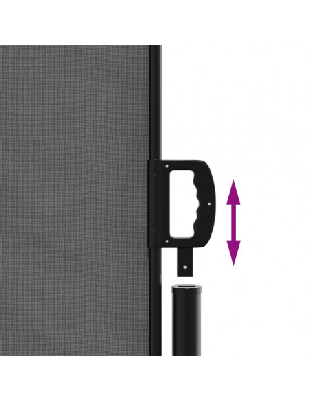 Tenda da Sole Laterale Retrattile Antracite 140x600 cm
