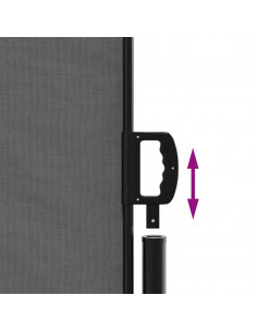 Tenda da Sole Laterale Retrattile Antracite 200x600 cm