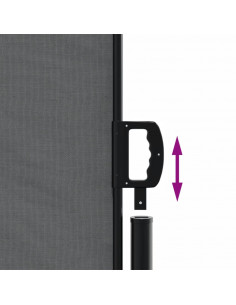 Tenda da Sole Laterale Retrattile Antracite 200x600 cm
