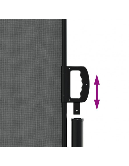 Tenda da Sole Laterale Retrattile Antracite 220x600 cm