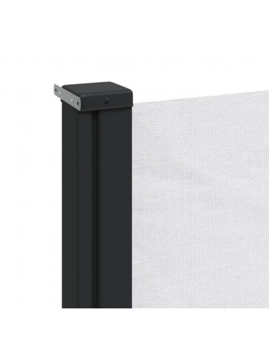Tenda da Sole Laterale Retrattile Bianco 220x600 cm